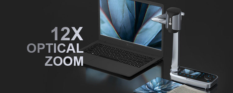 750X300分类-6