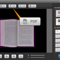 PDF