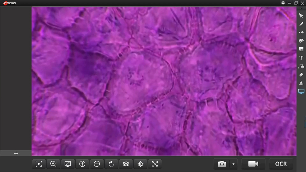 Open software 开放软件