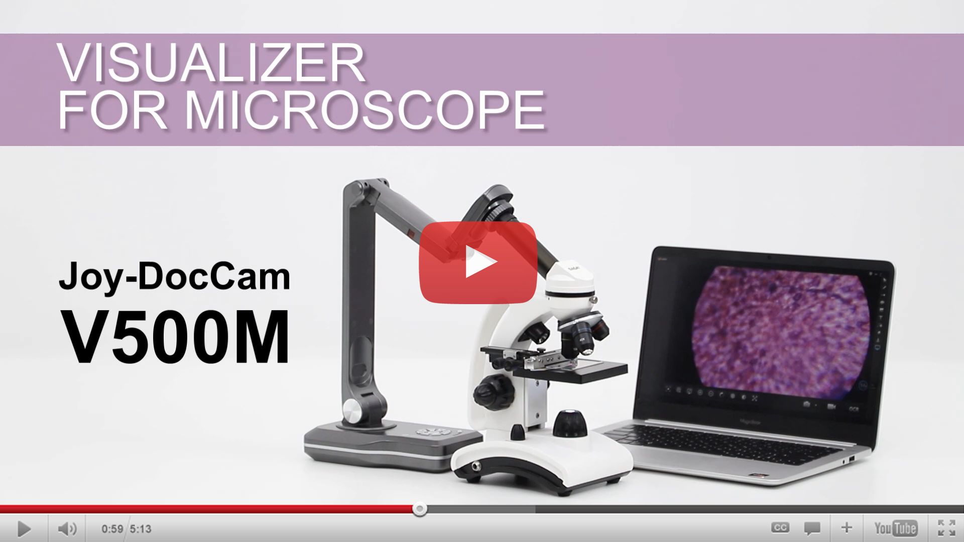 visualizer for microscope 可视化器用于显微镜