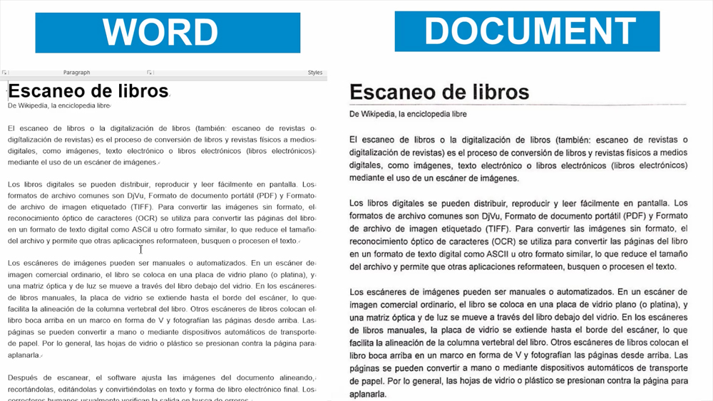 pdf to Word